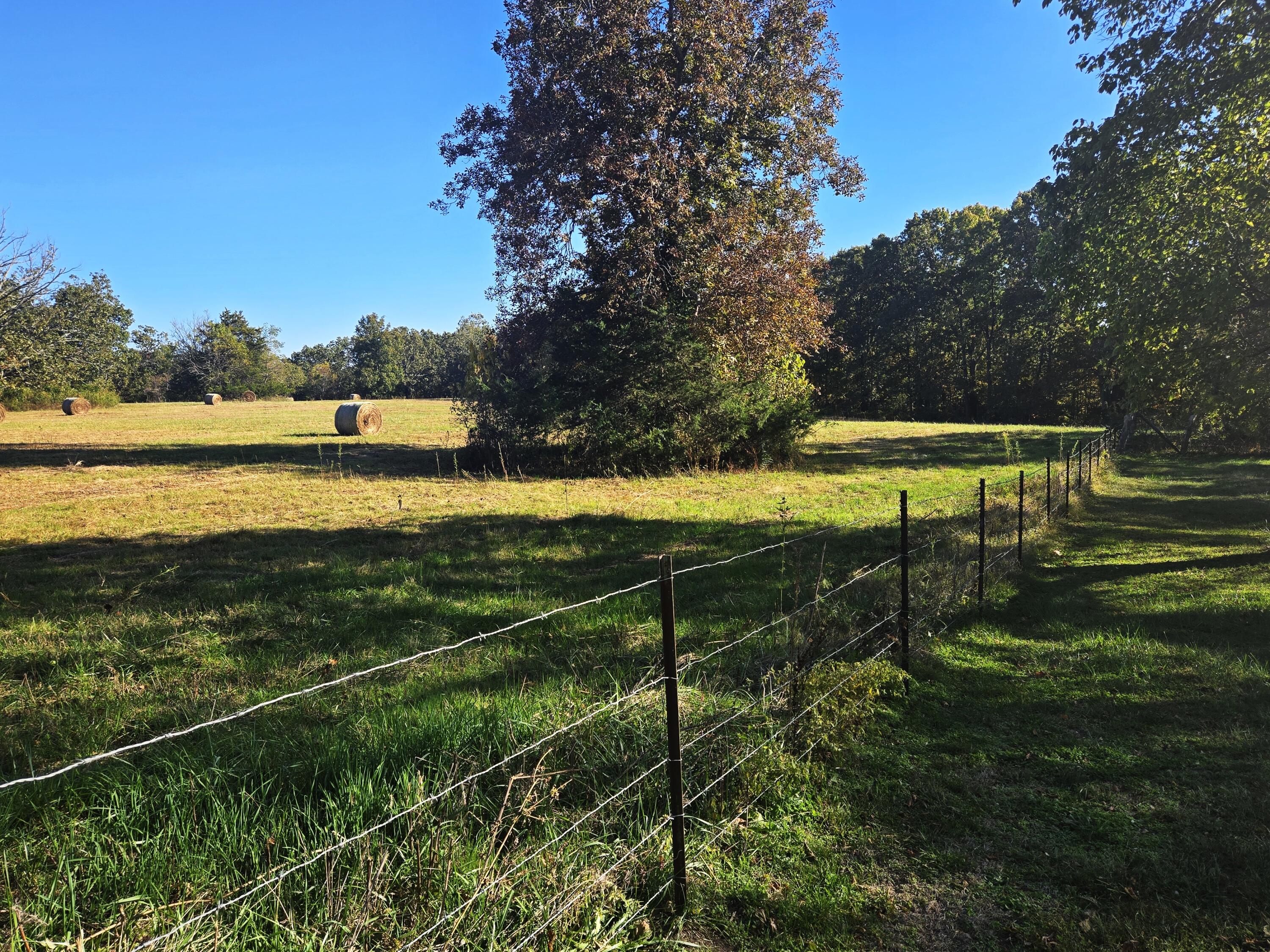 1978 Old Highway 60 Property Photo 1