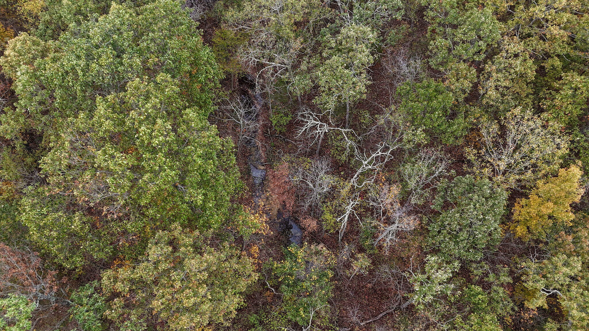 2582 River Road Property Photo 31