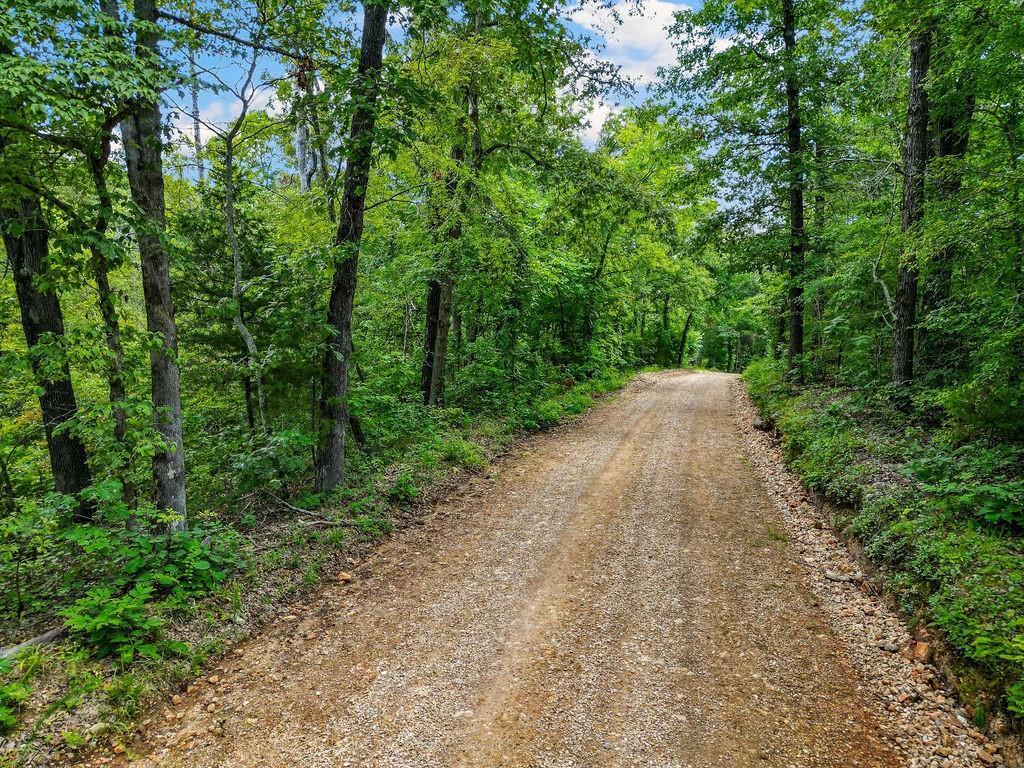 1106 Boone Hollow Road Property Photo 4