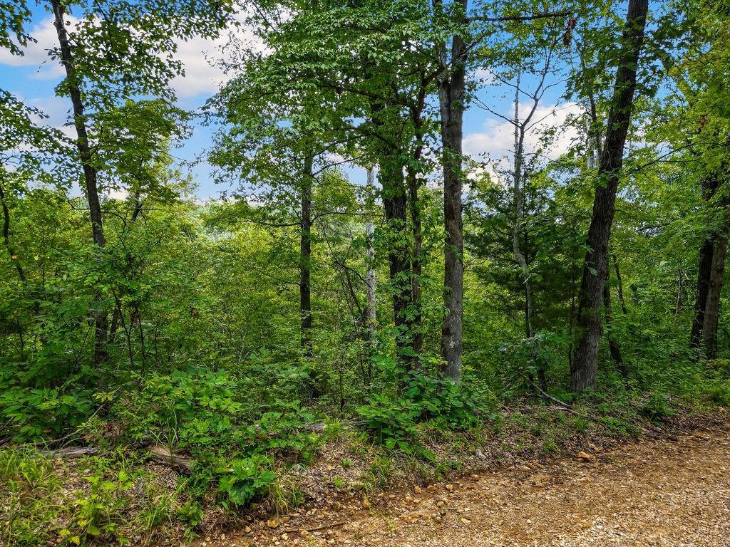 1106 Boone Hollow Road Property Photo 6