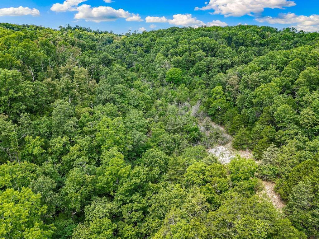 1106 Boone Hollow Road Property Photo 7