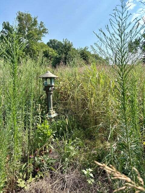 18284 B-2 Gazelle Drive Property Photo 9