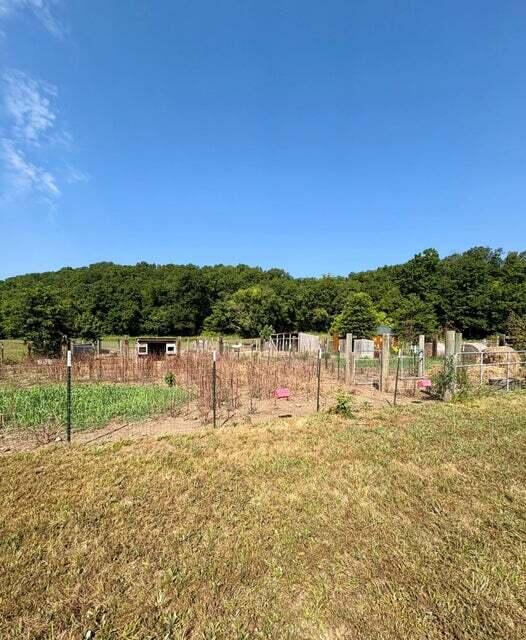 18284 B-2 Gazelle Drive Property Photo 15