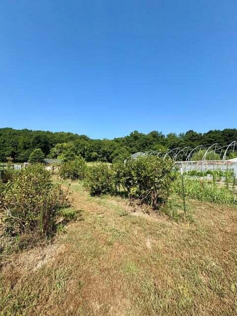 18284 B-2 Gazelle Drive Property Photo 17