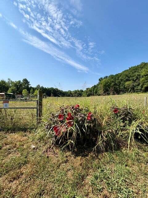 18284 B-2 Gazelle Drive Property Photo 25