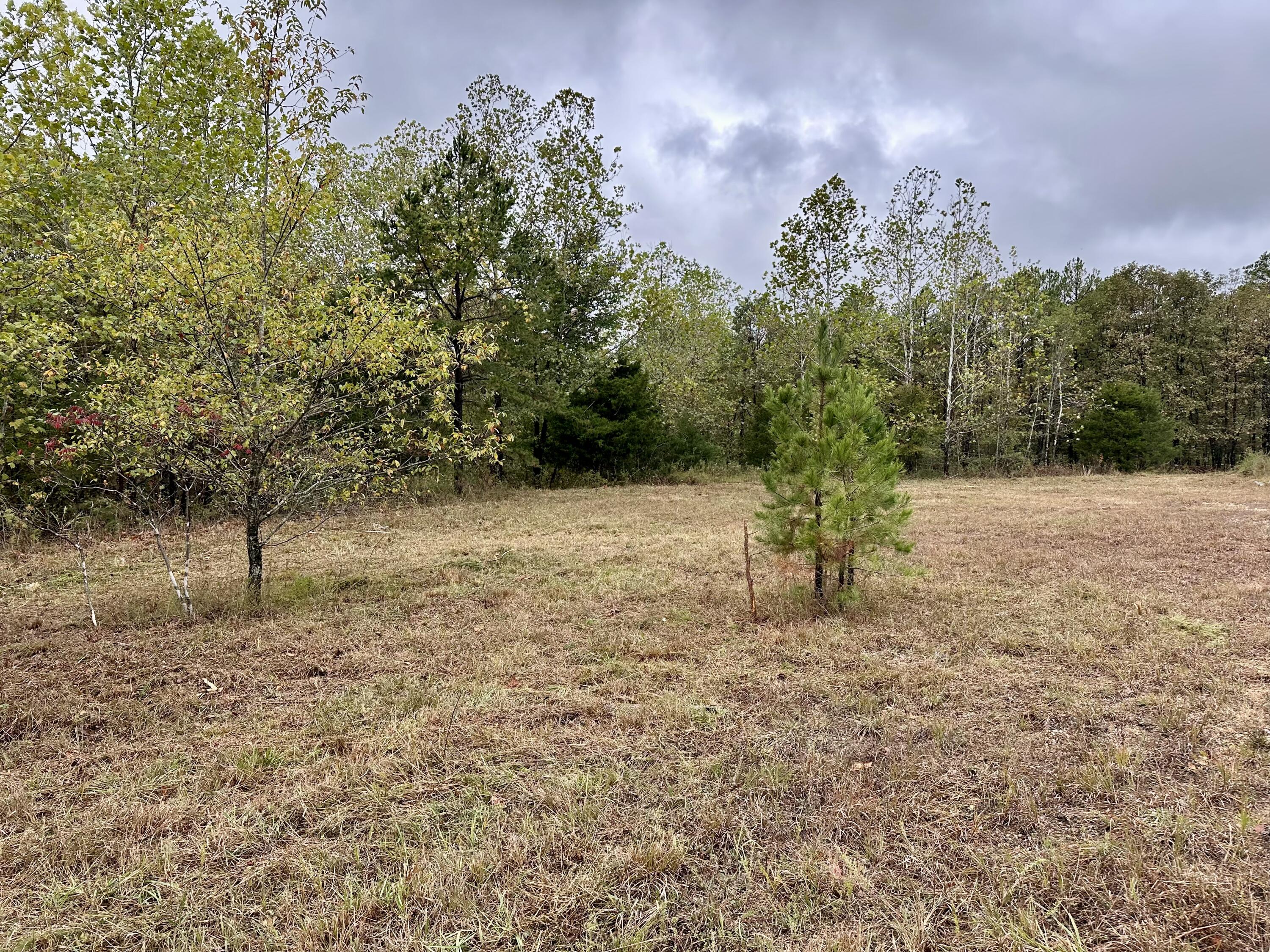 000 Couinty Road 570 Property Photo 2