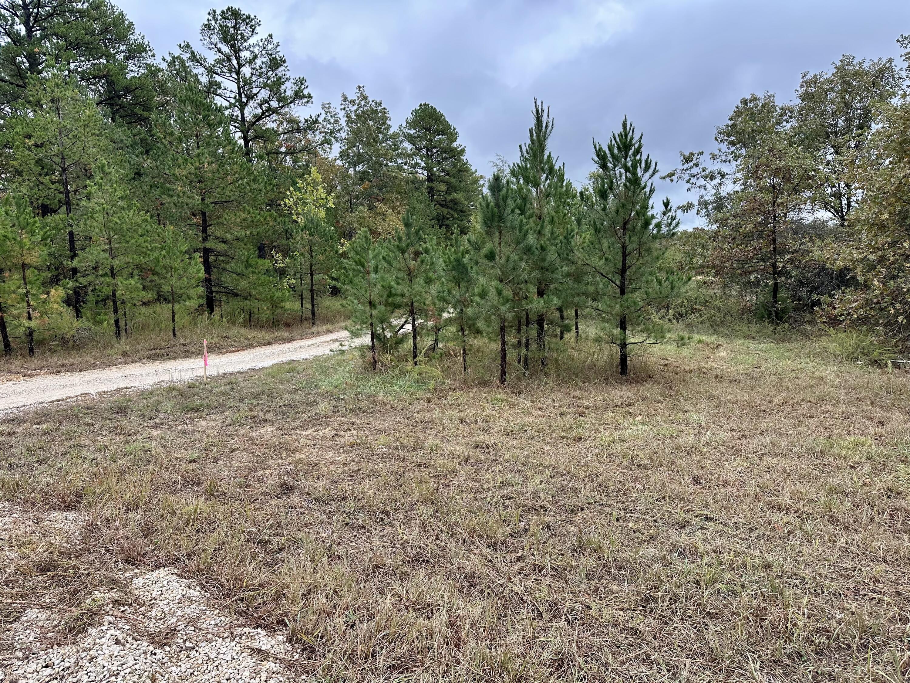 000 Couinty Road 570 Property Photo 5