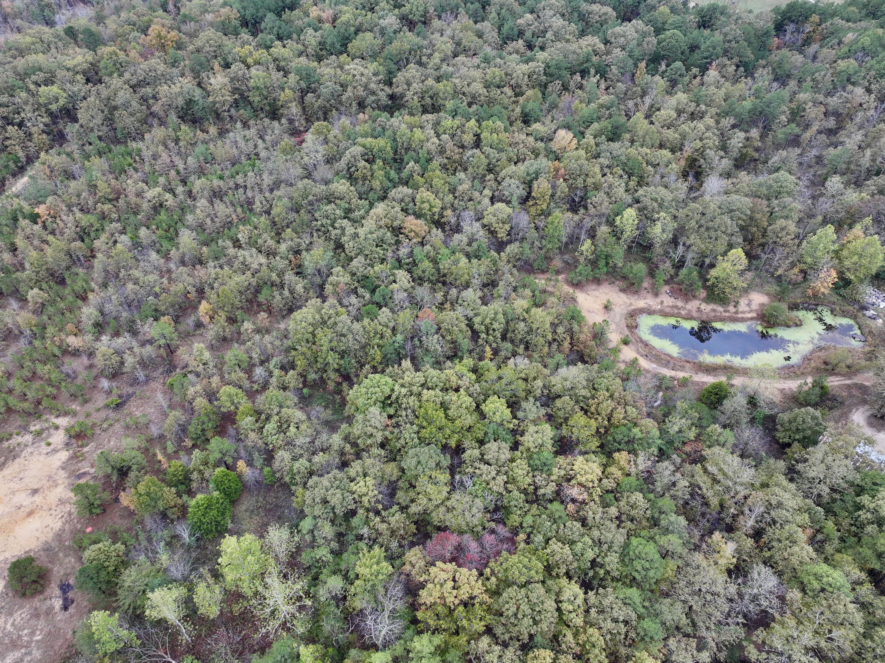 000 Couinty Road 570 Property Photo 8