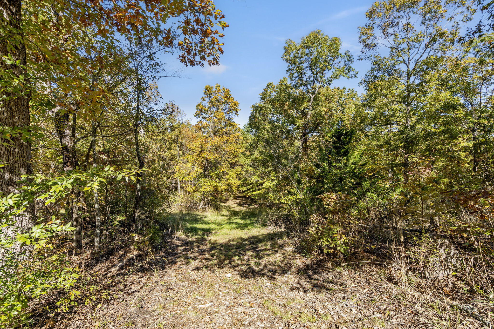 875 Windmill Road Property Photo 3
