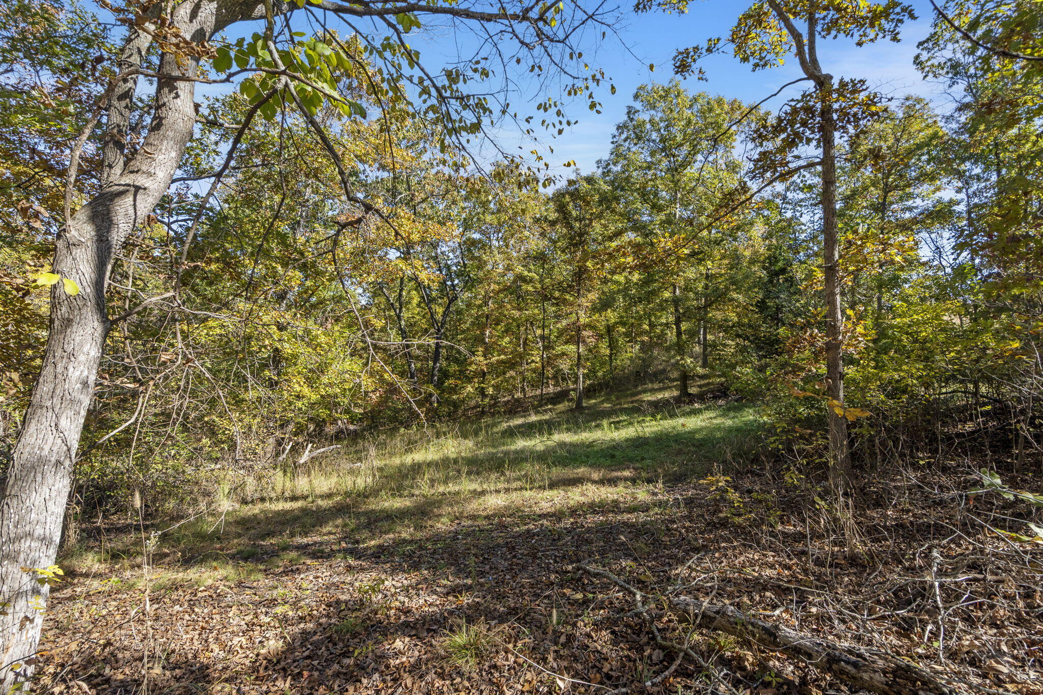 875 Windmill Road Property Photo 4