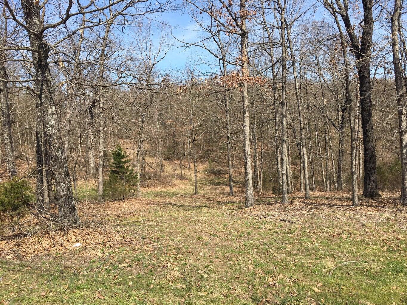 875 Windmill Road Property Photo 6