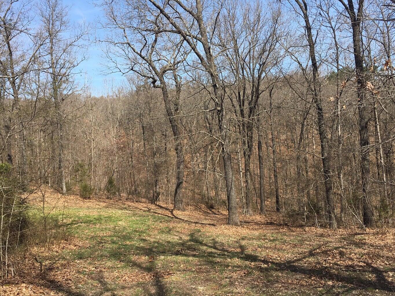 875 Windmill Road Property Photo 8