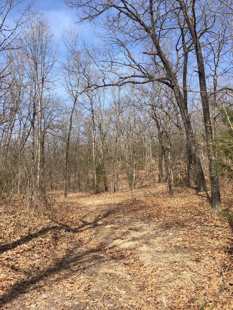 875 Windmill Road Property Photo 10
