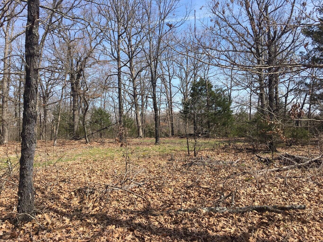 875 Windmill Road Property Photo 12