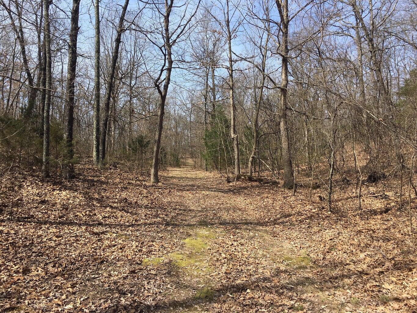875 Windmill Road Property Photo 13