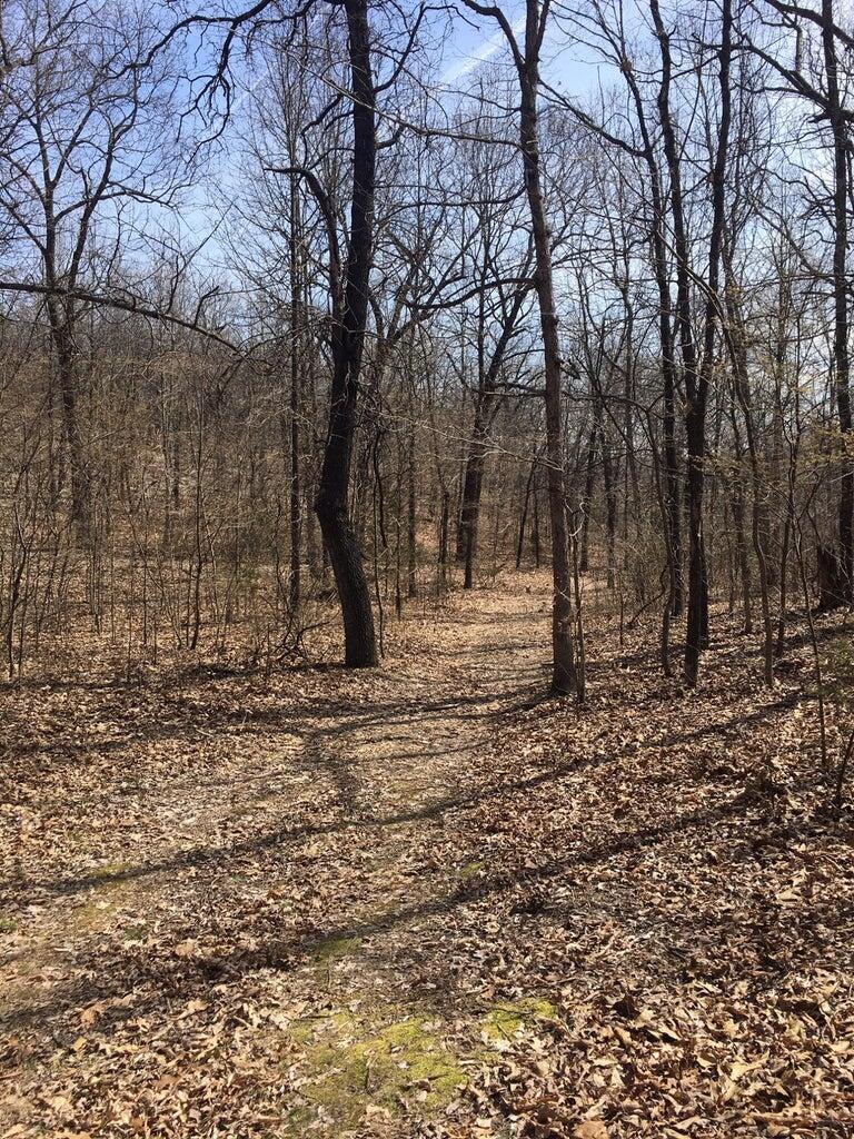 875 Windmill Road Property Photo 14