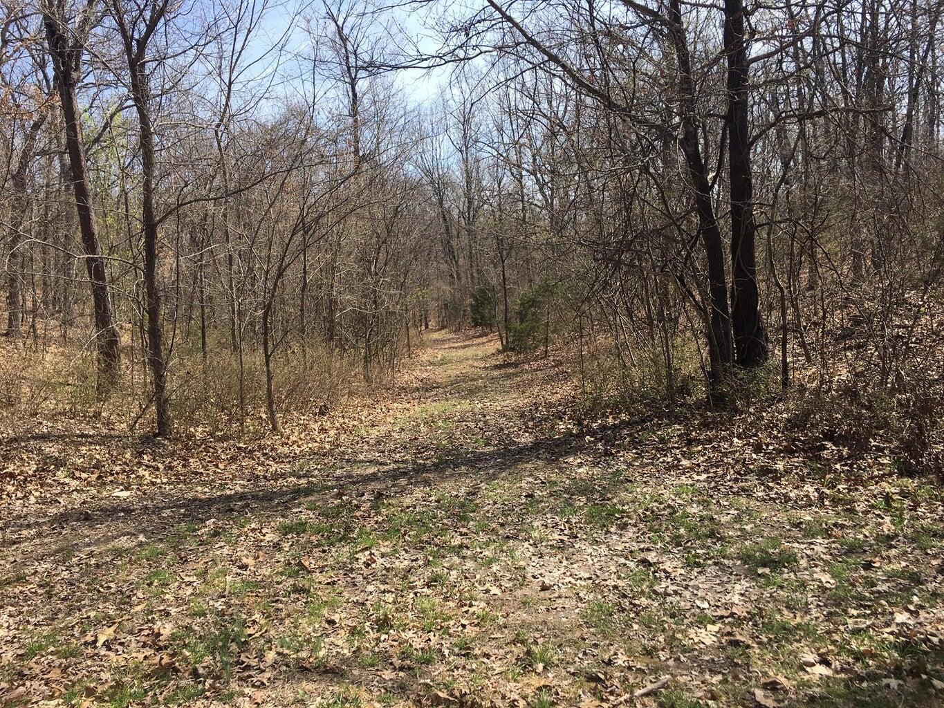 875 Windmill Road Property Photo 15