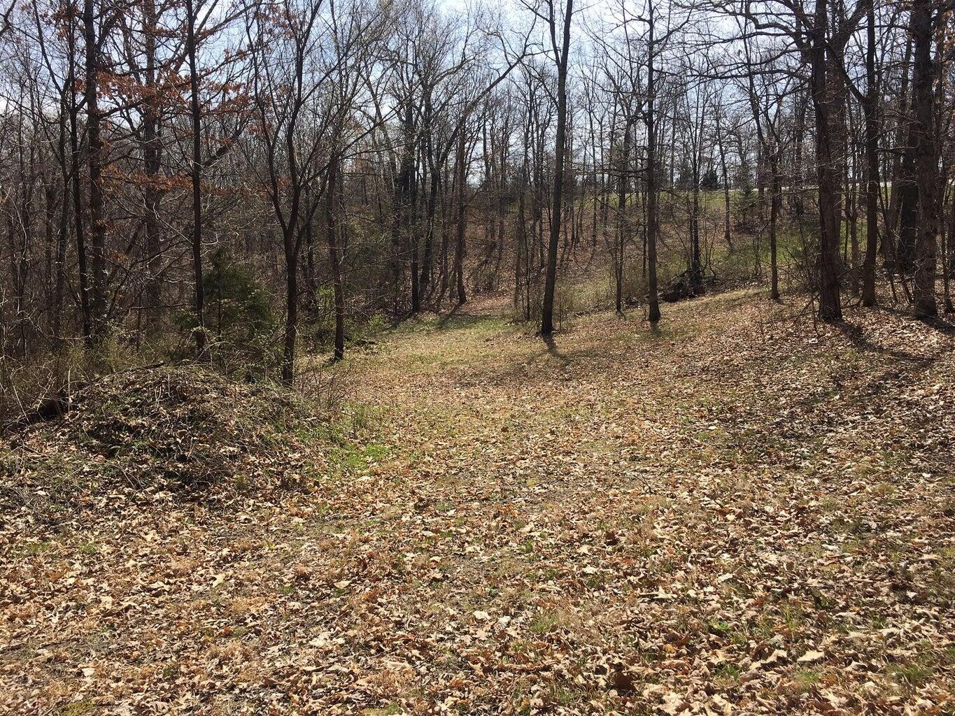 875 Windmill Road Property Photo 17