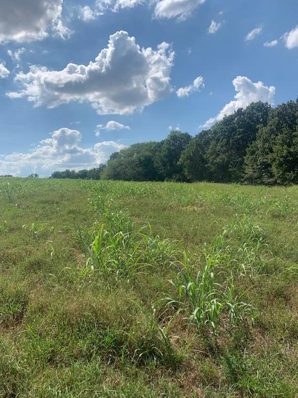 Tbd Farm Road 1012 Property Photo 1