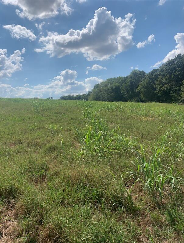 Tbd Farm Road 1012 Property Photo 2