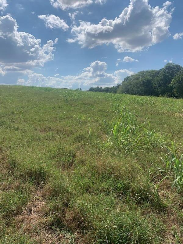 Tbd Farm Road 1012 Property Photo 3