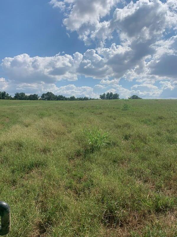 Tbd Farm Road 1012 Property Photo 4