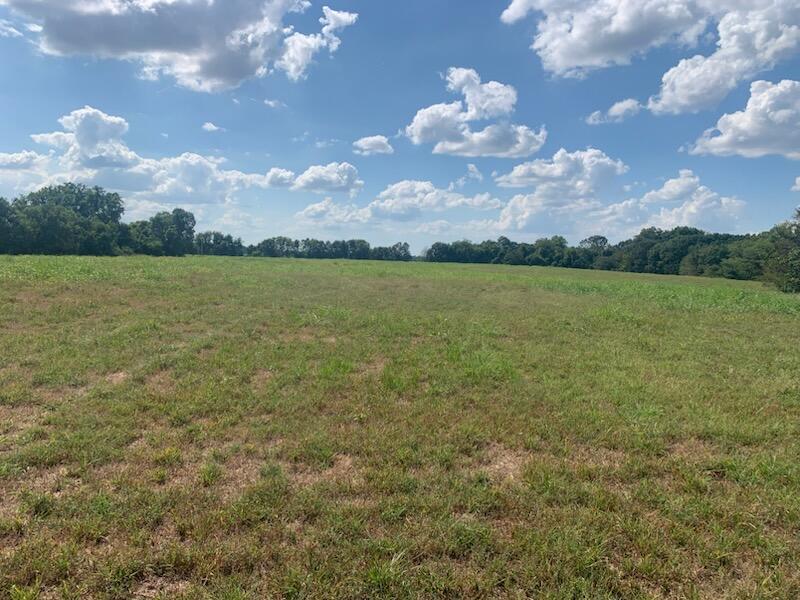 Tbd Farm Road 1012 Property Photo 5