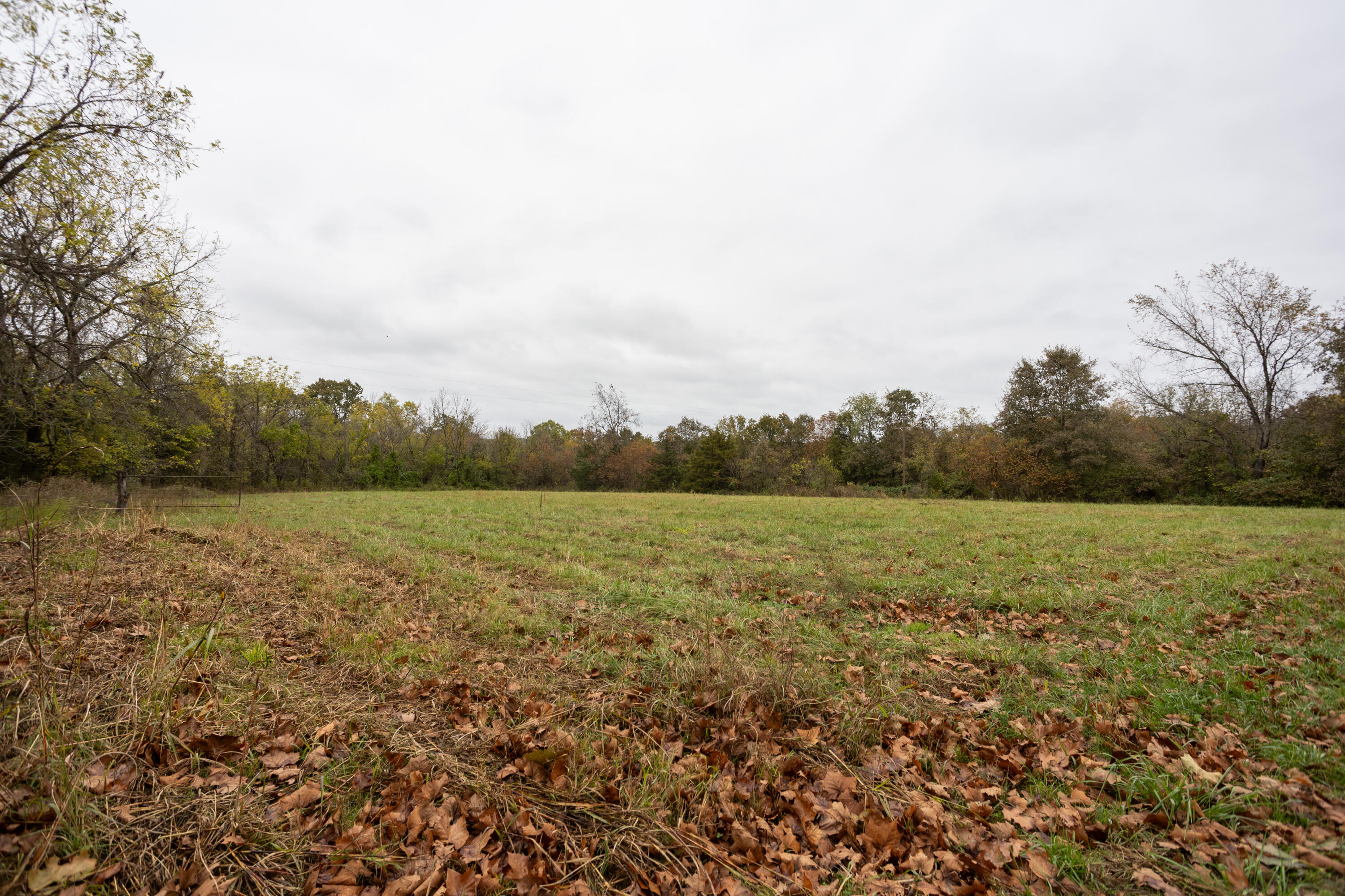 221 State Rte Ee Property Photo 3