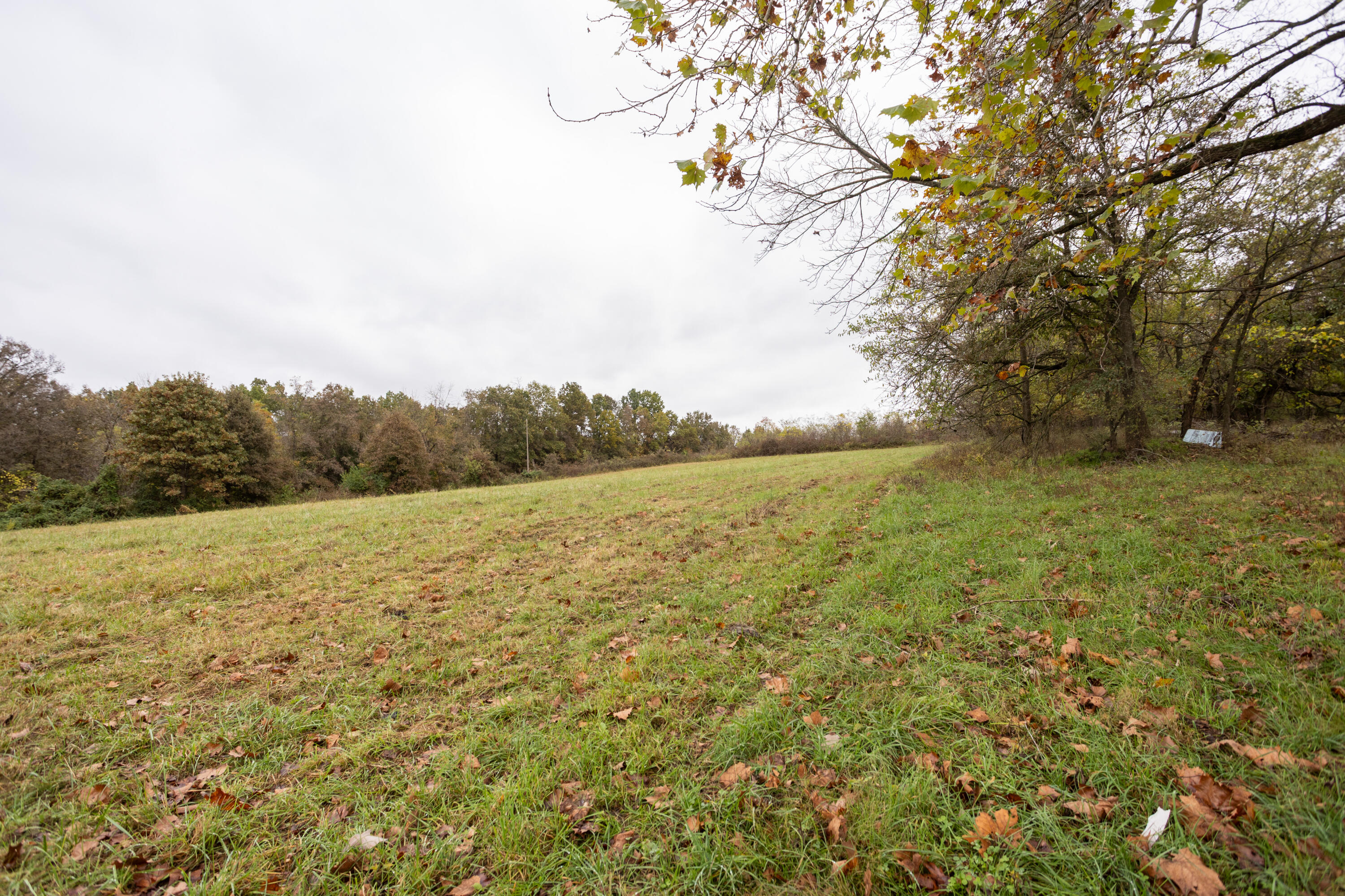 221 State Rte Ee Property Photo 5