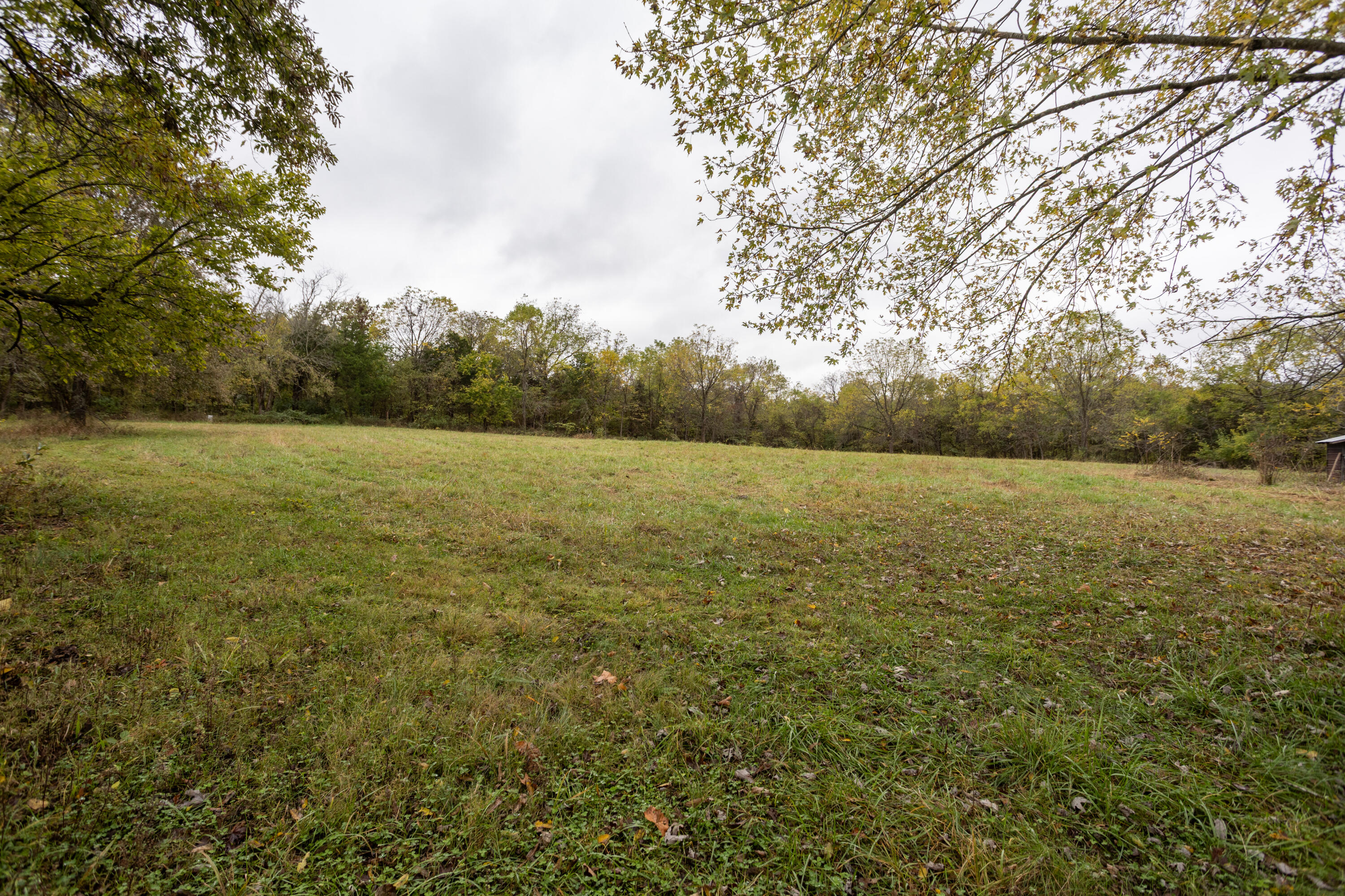 221 State Rte Ee Property Photo 6