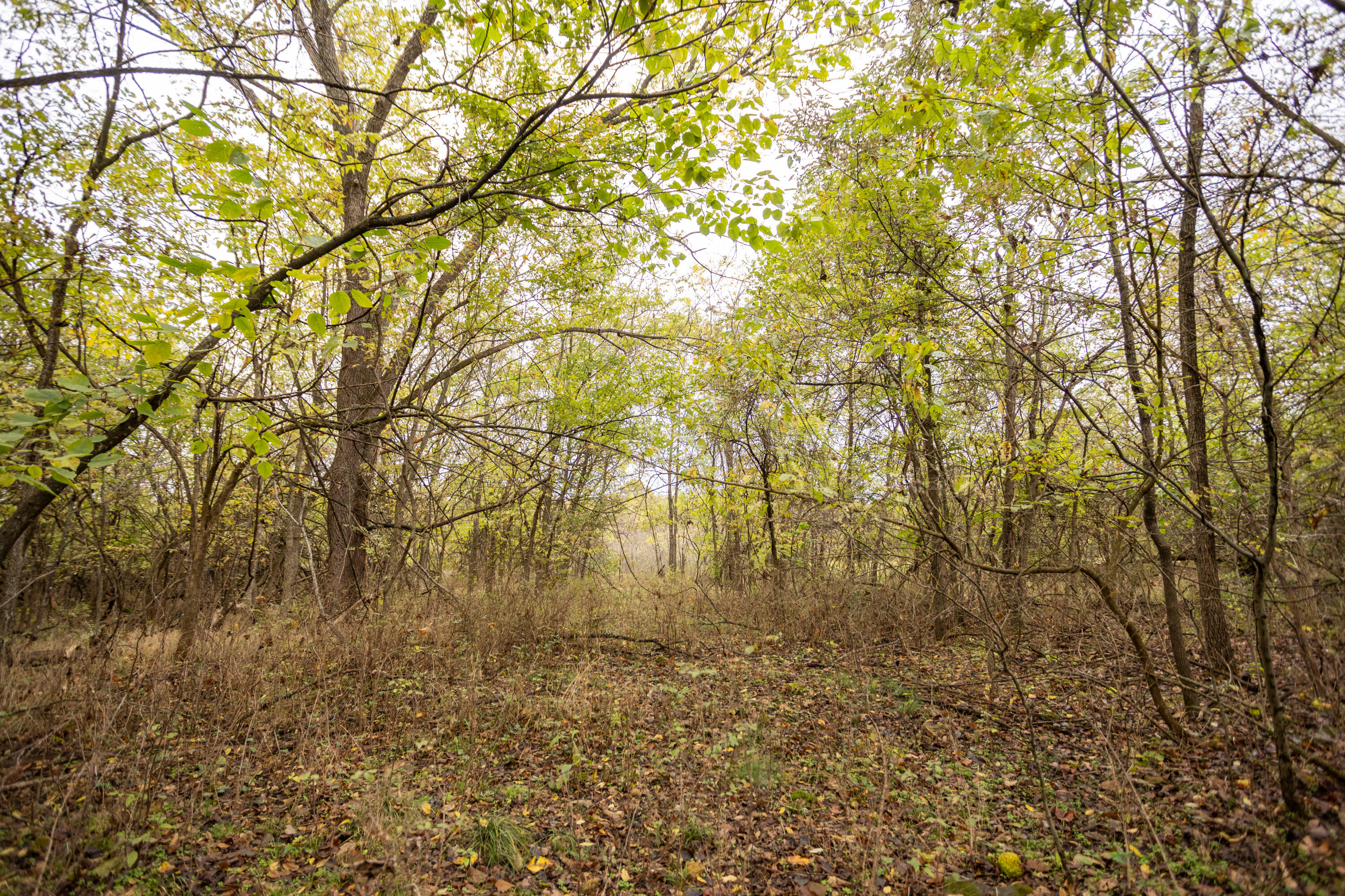 221 State Rte Ee Property Photo 9