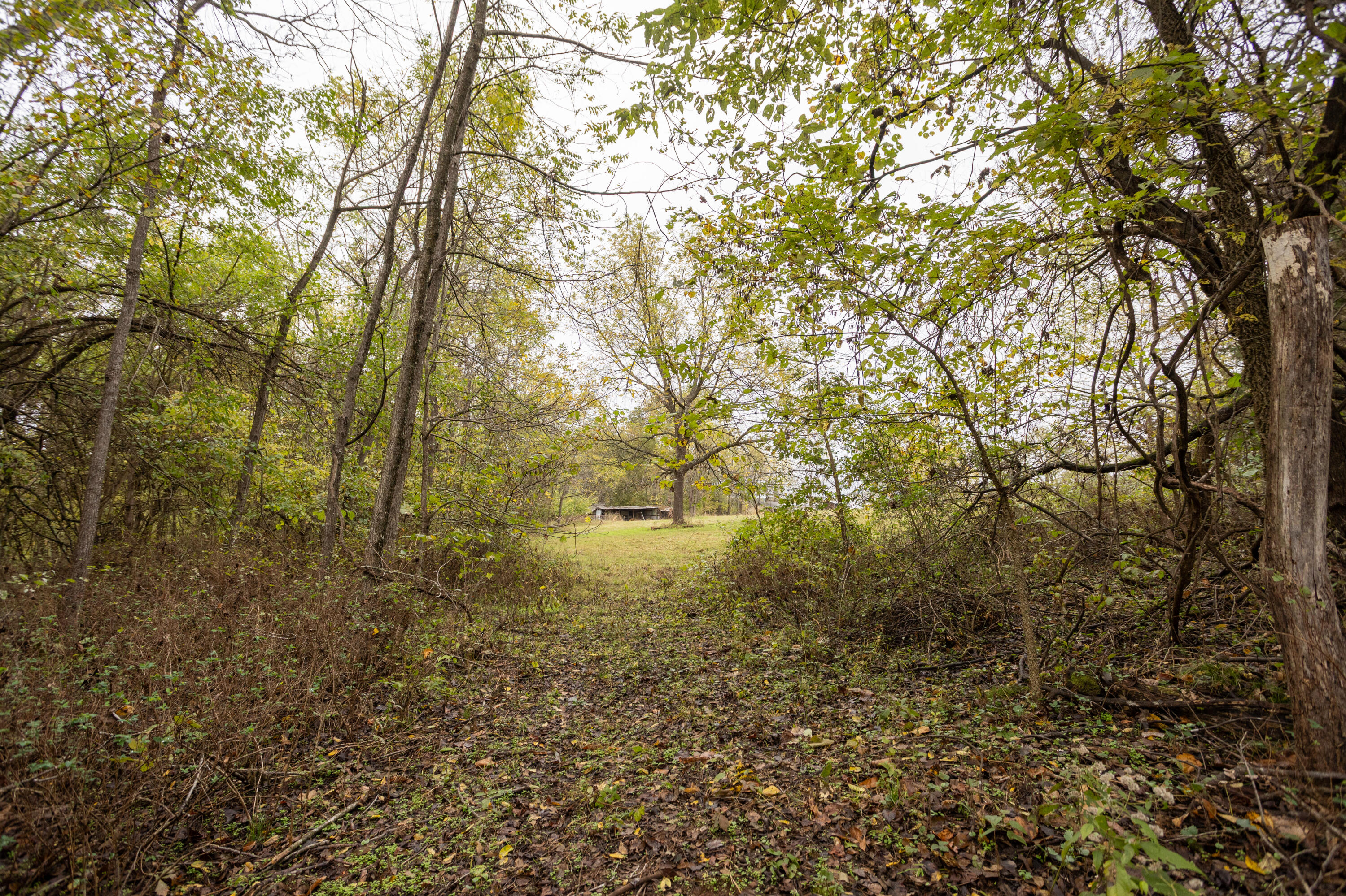 221 State Rte Ee Property Photo 11