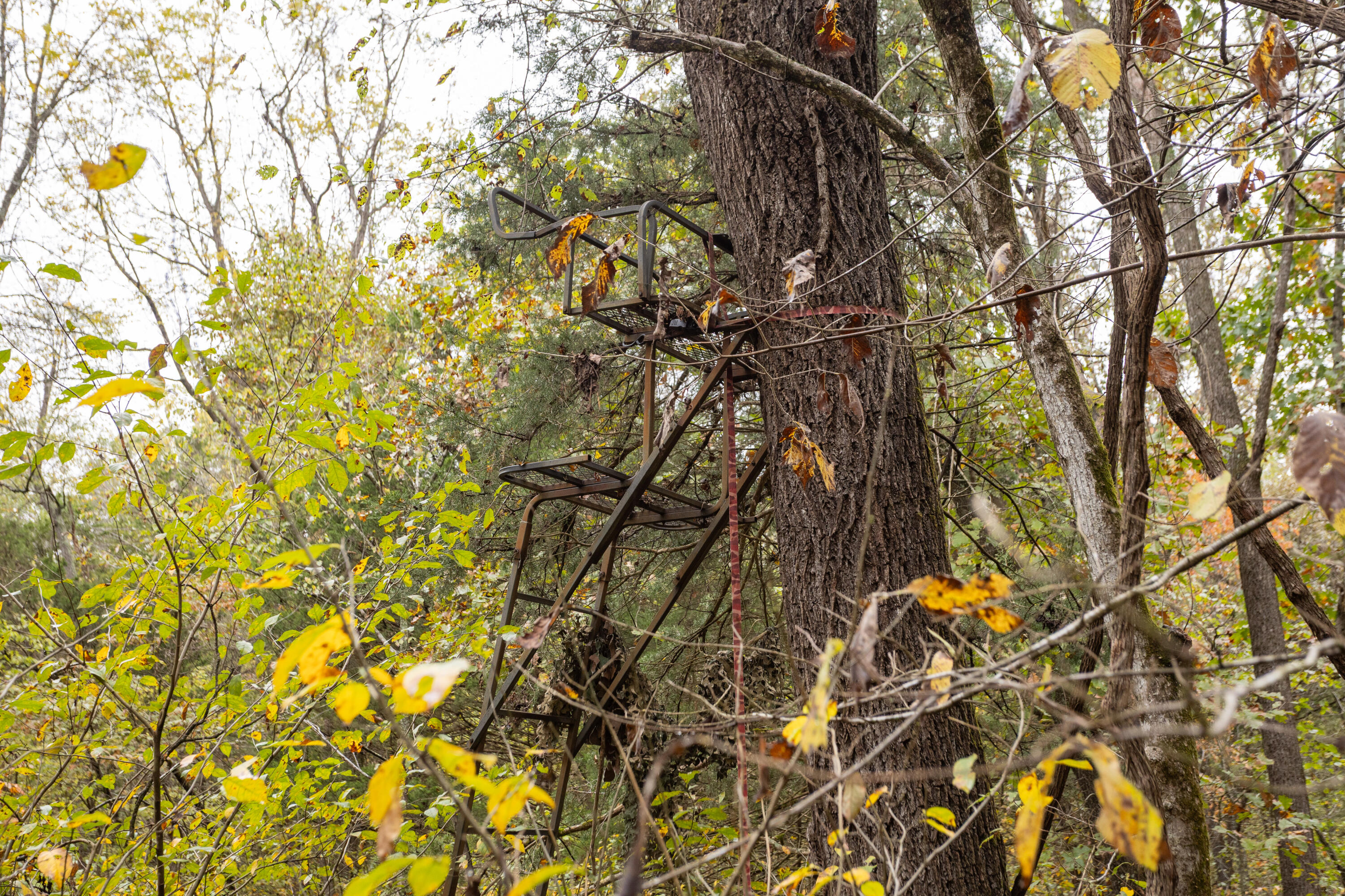 221 State Rte Ee Property Photo 13