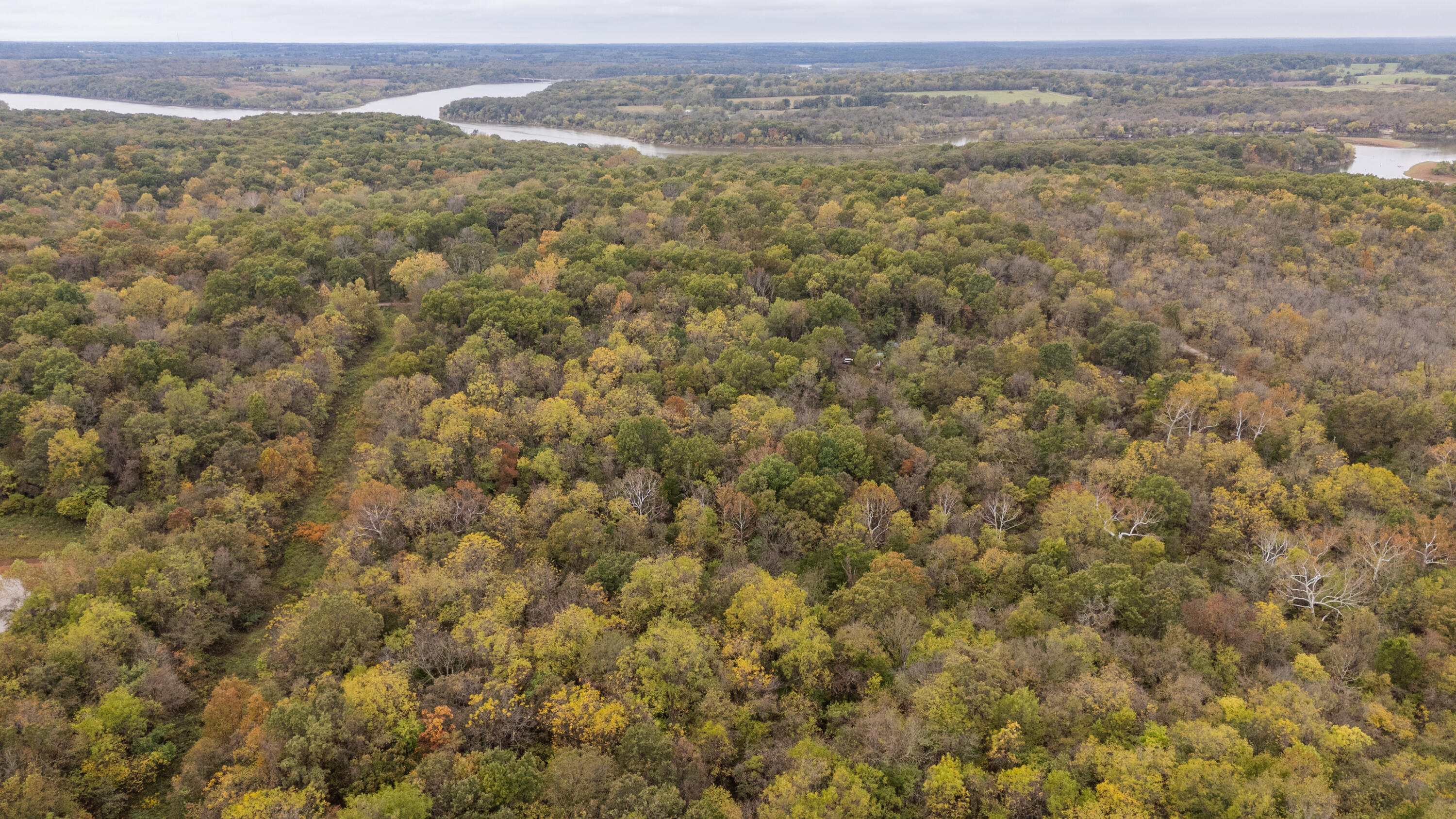 221 State Rte Ee Property Photo 19