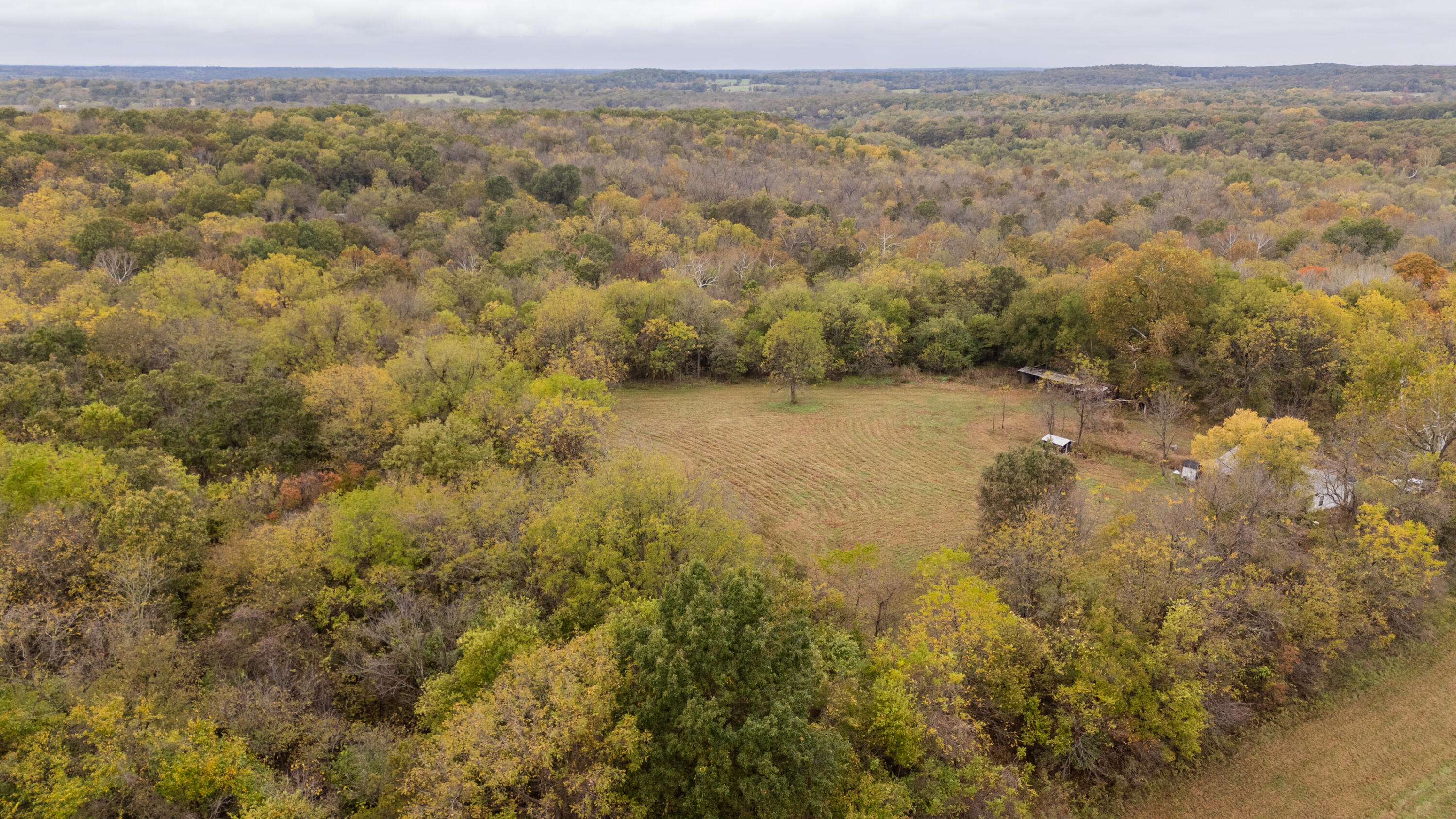 221 State Rte Ee Property Photo 24