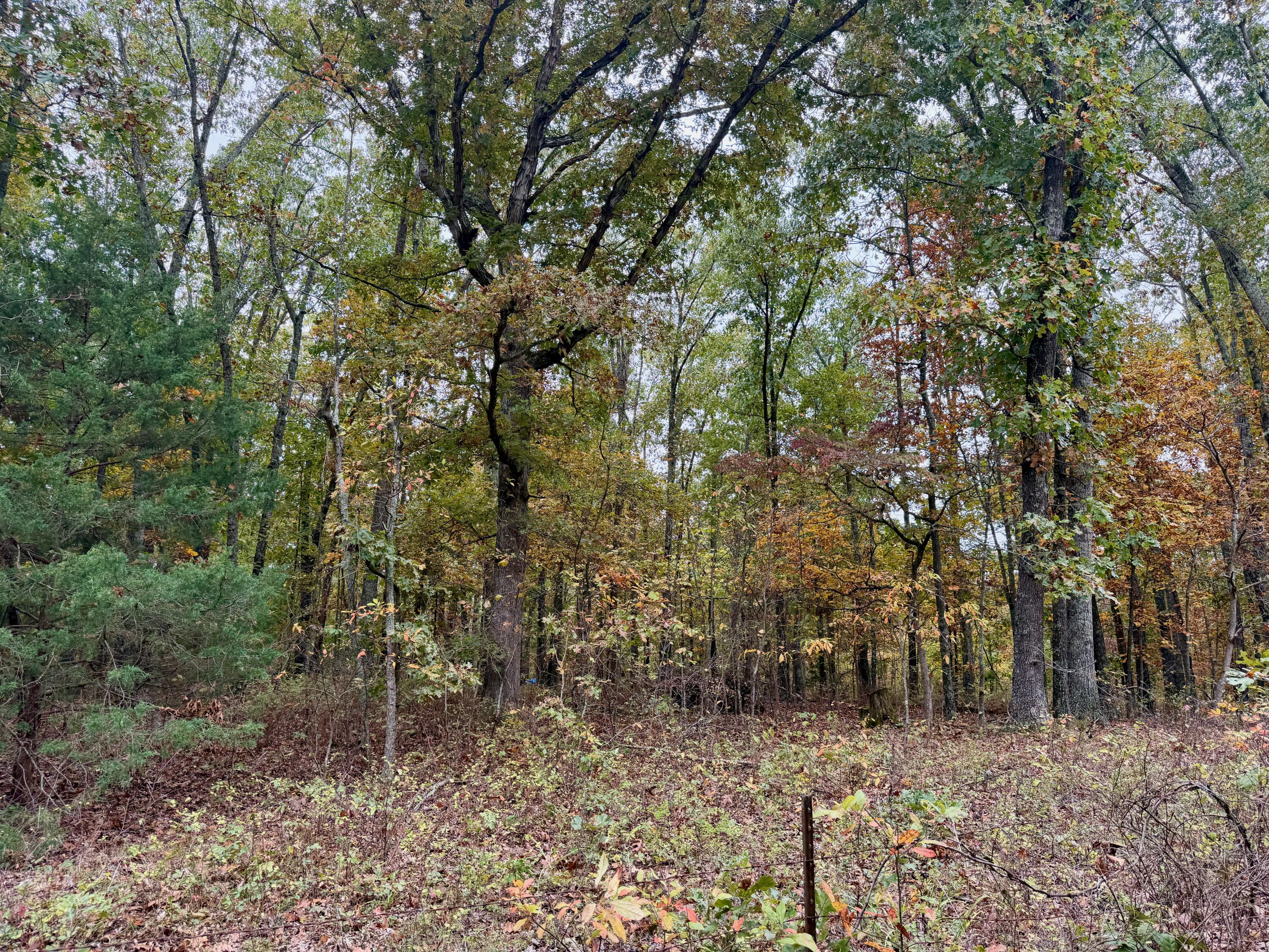 000 Spout Spring Road Property Photo 2