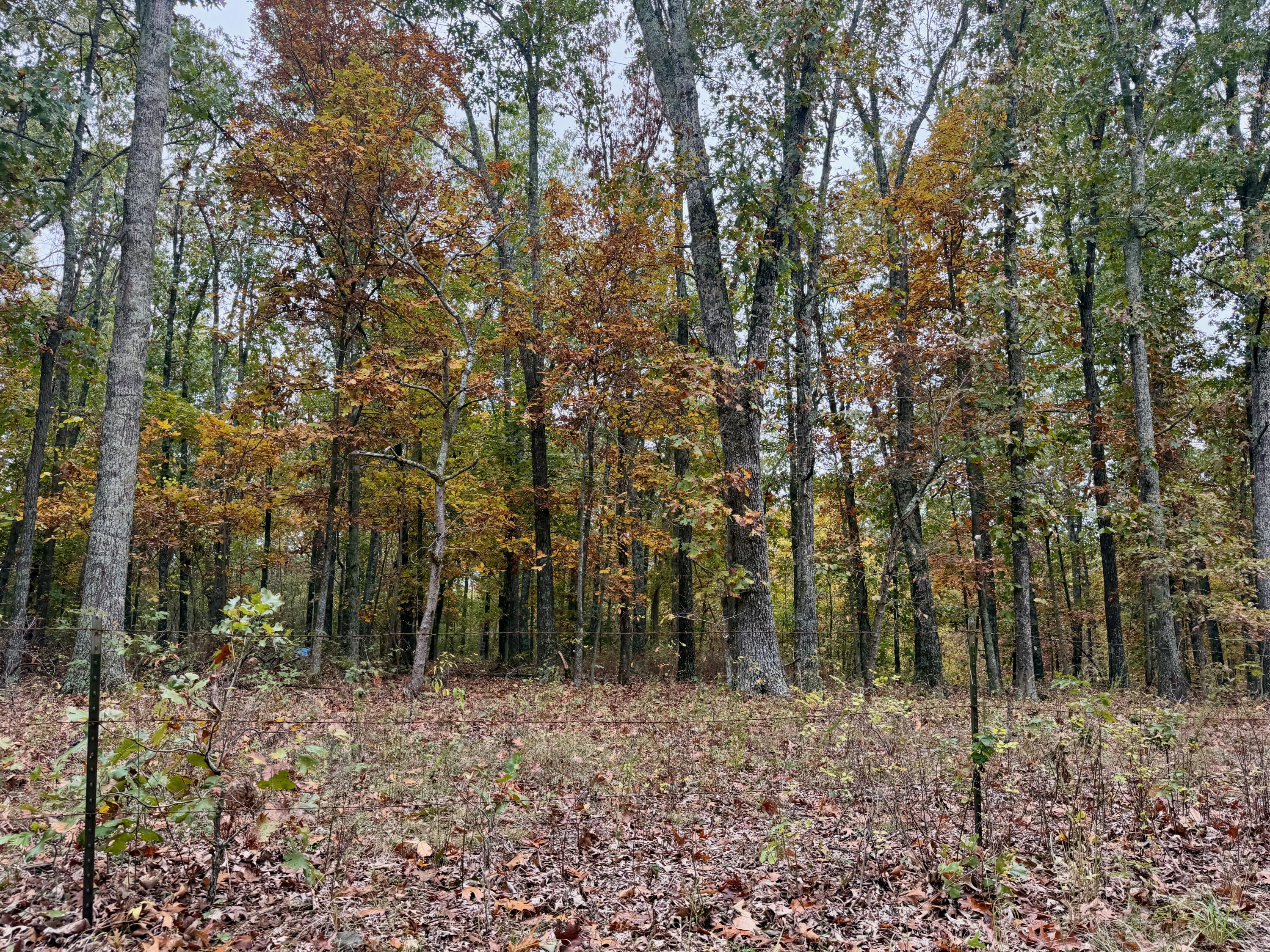 000 Spout Spring Road Property Photo 3