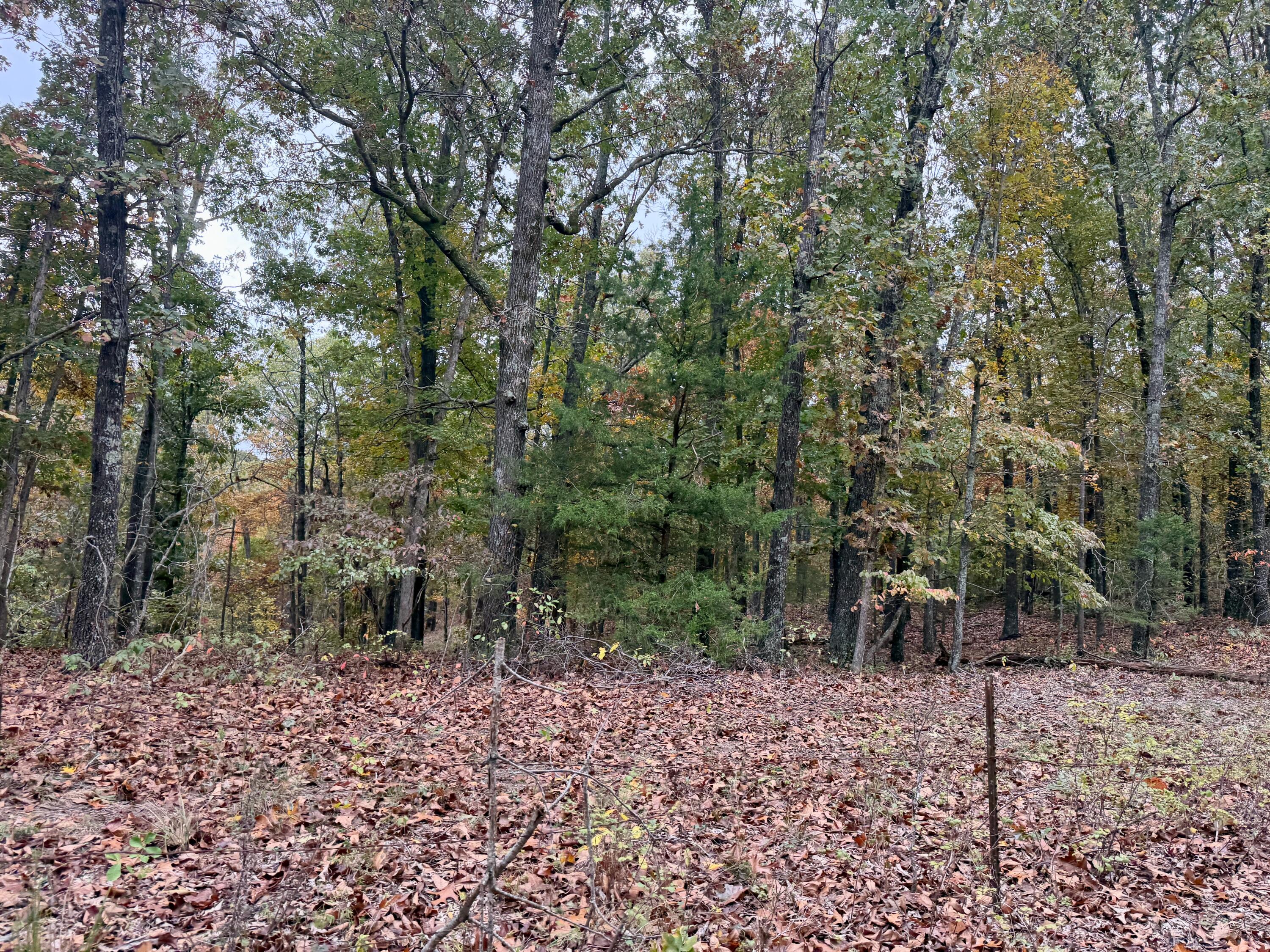 000 Spout Spring Road Property Photo 4