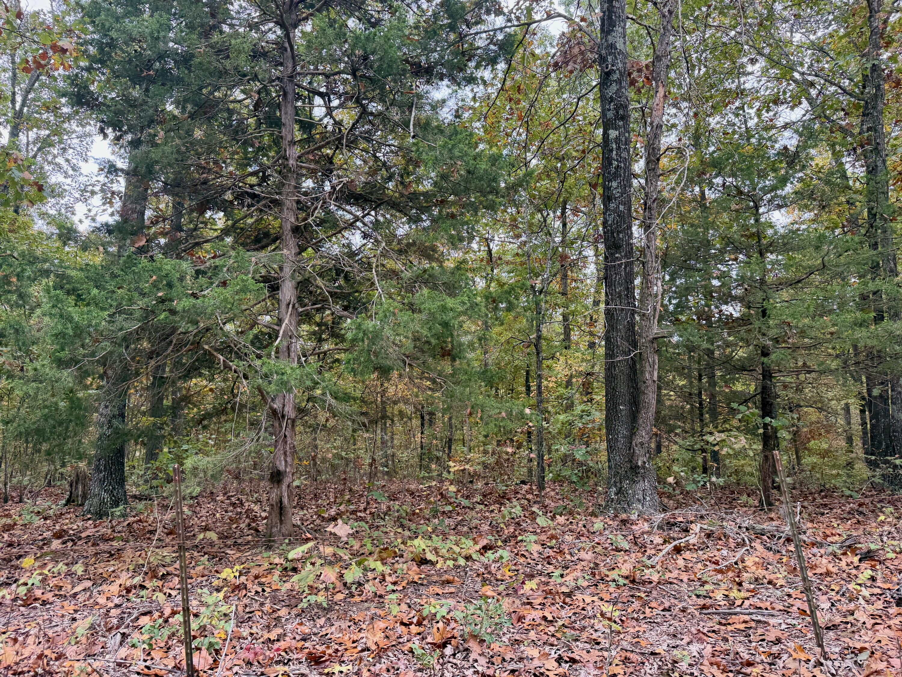 000 Spout Spring Road Property Photo 5