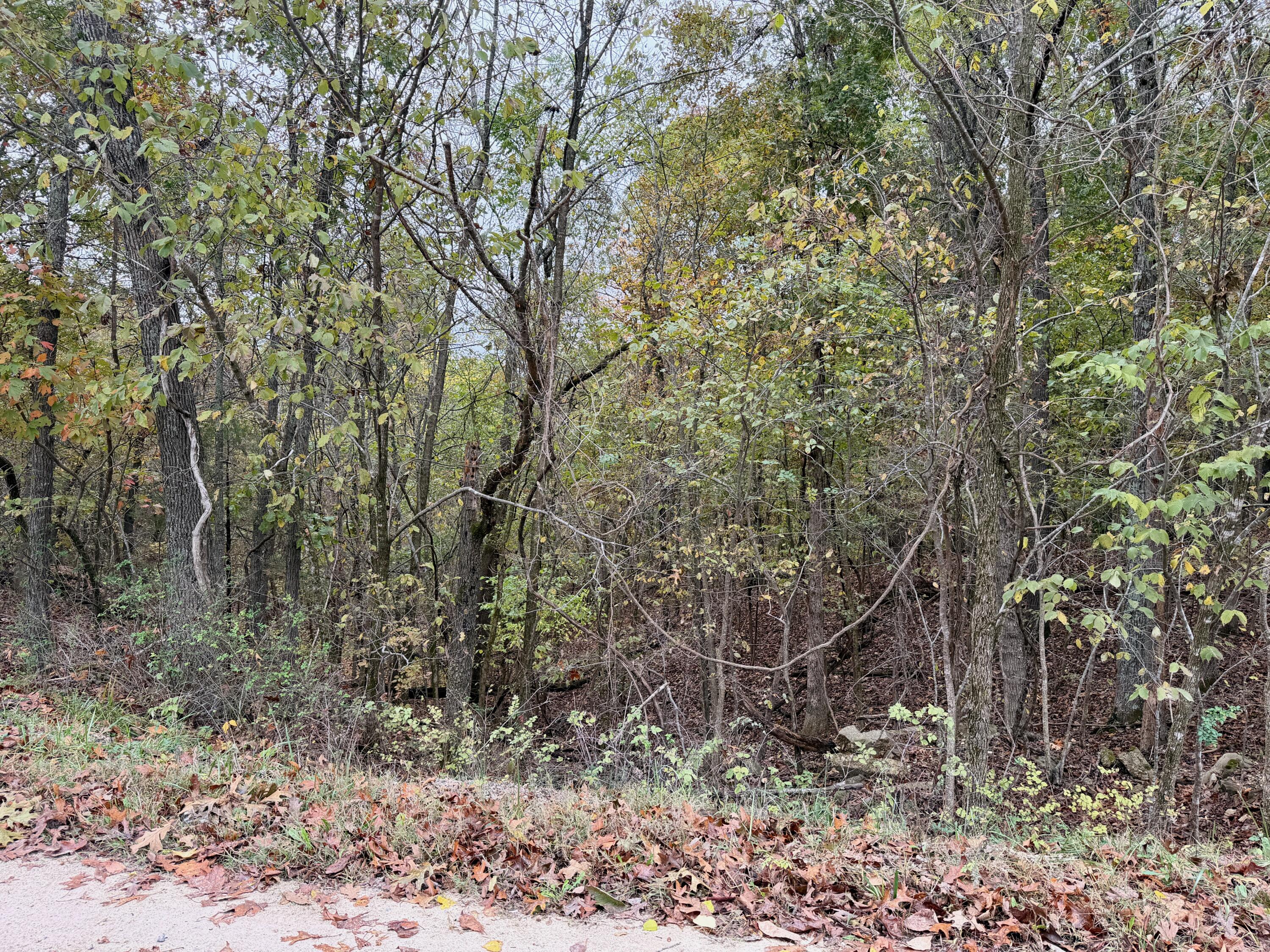 000 Spout Spring Road Property Photo 6