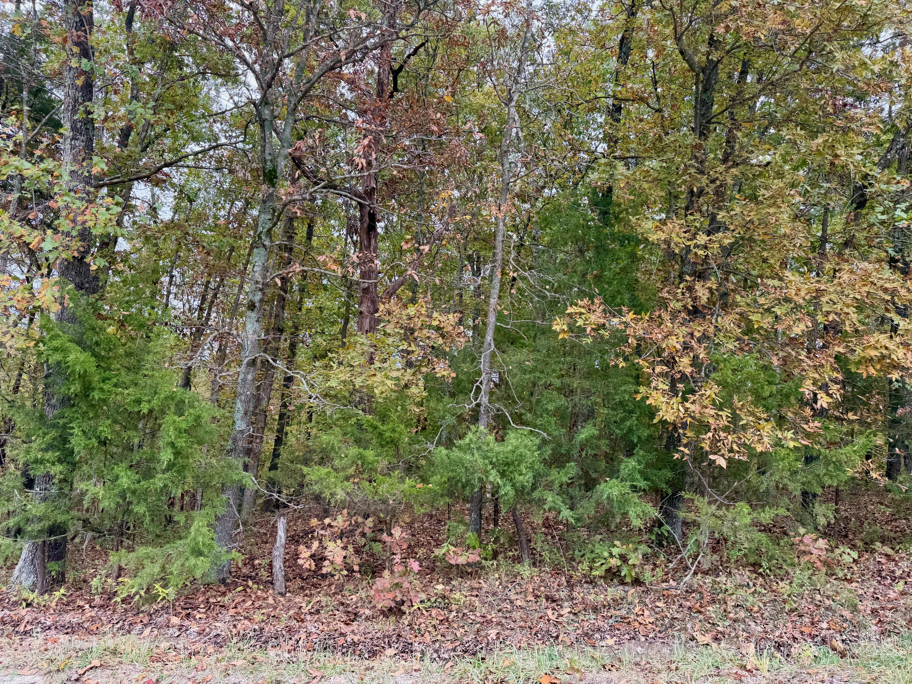 000 Spout Spring Road Property Photo 7