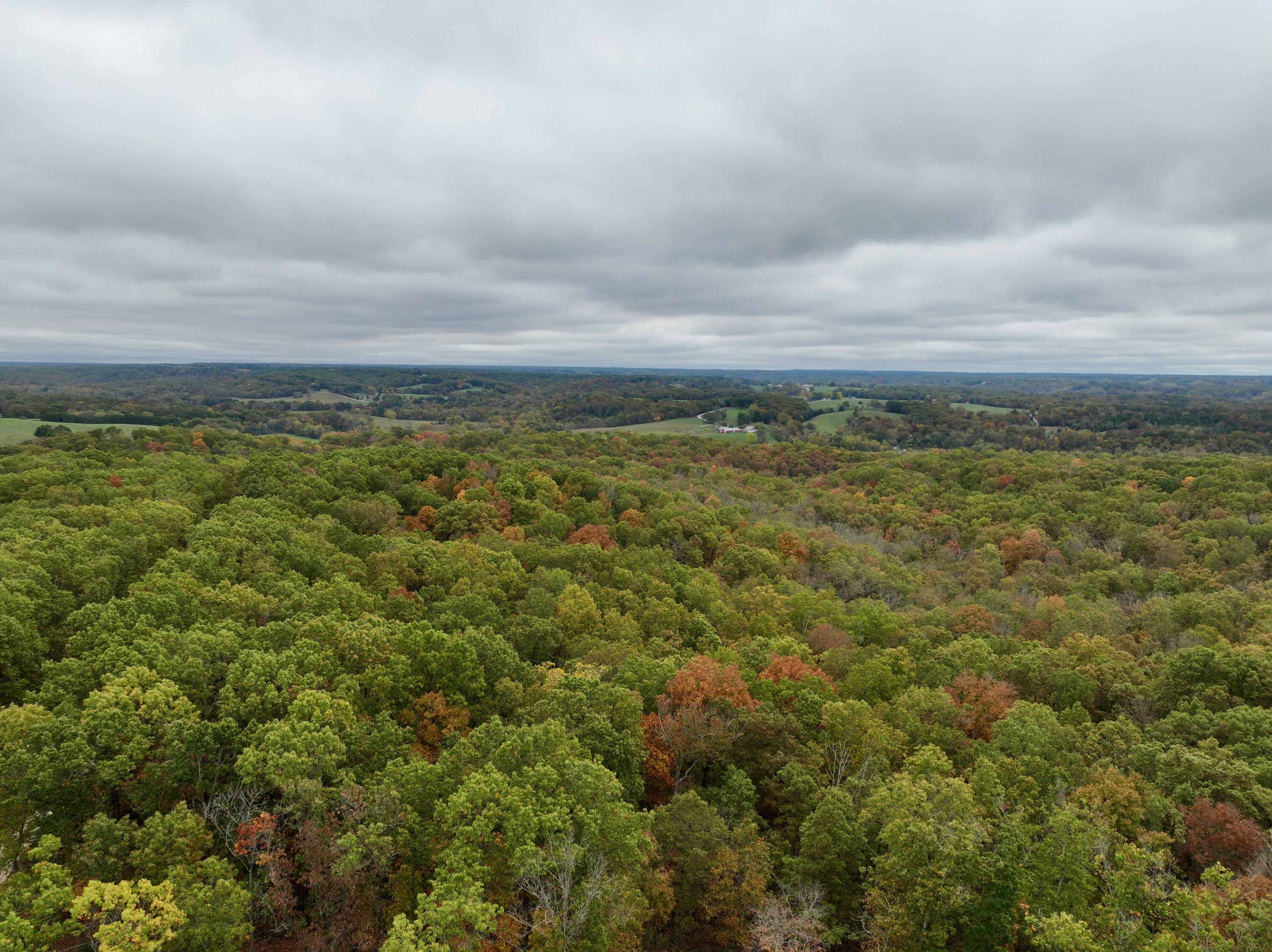 000 Spout Spring Road Property Photo 8