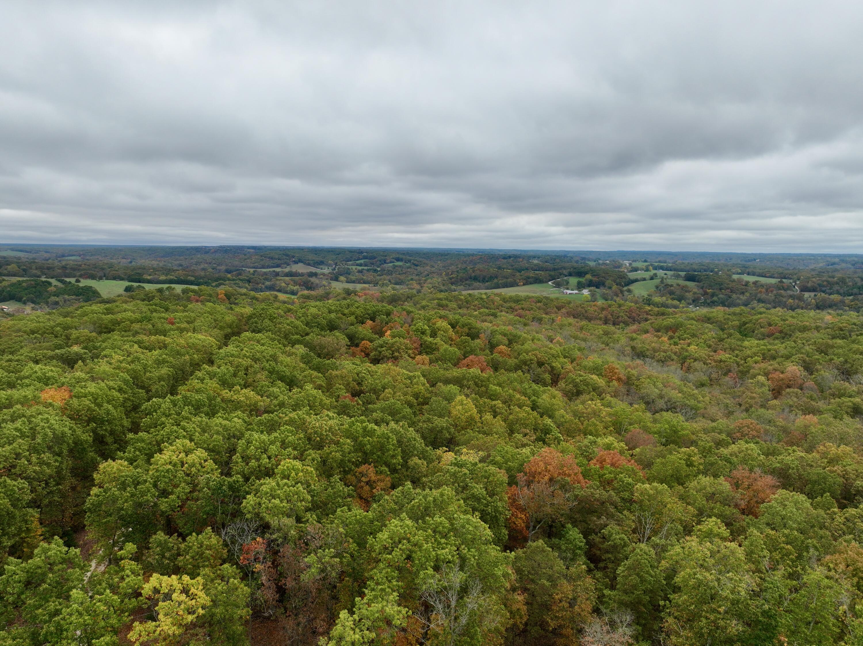 000 Spout Spring Road Property Photo 9