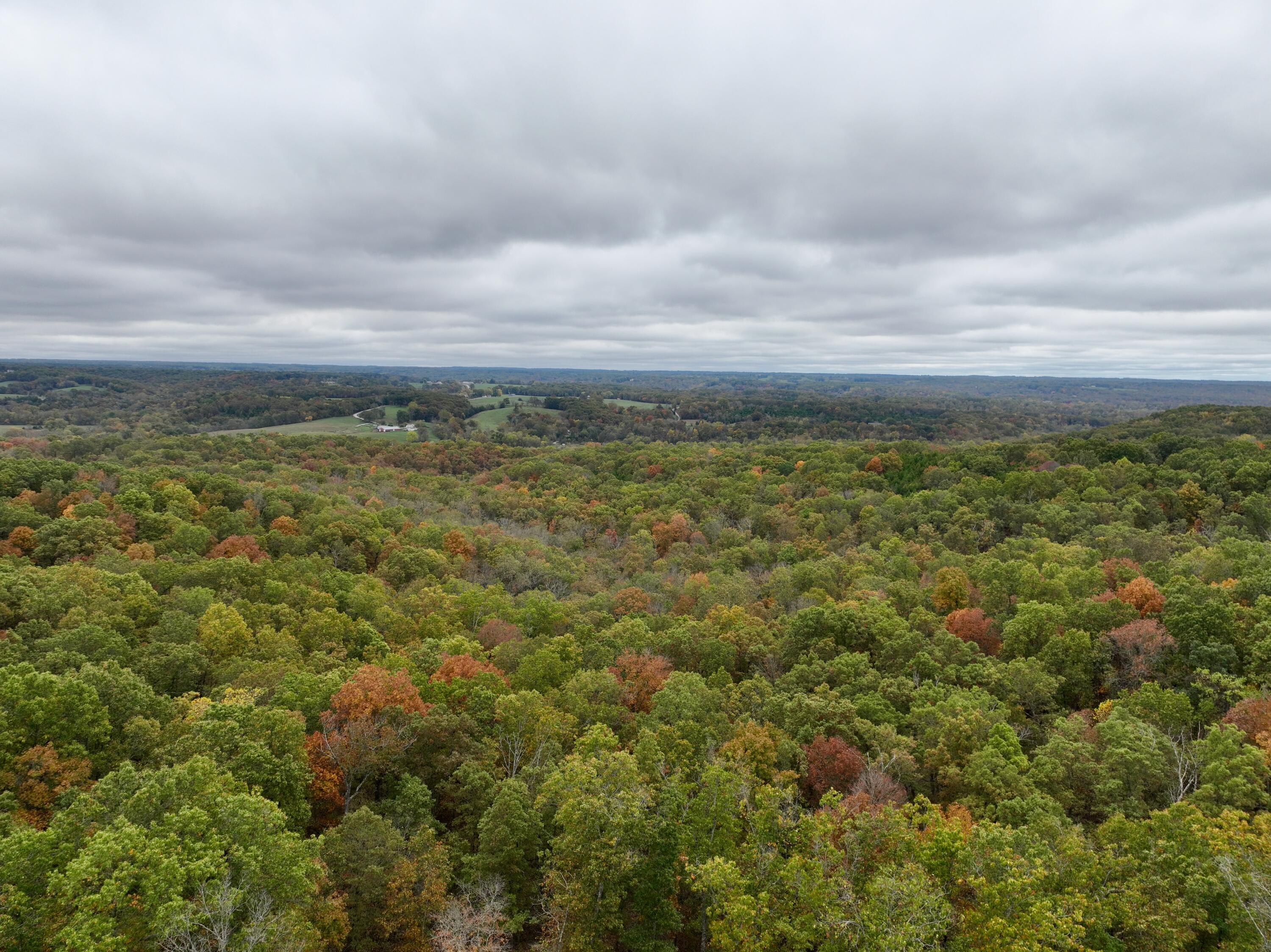 000 Spout Spring Road Property Photo 10