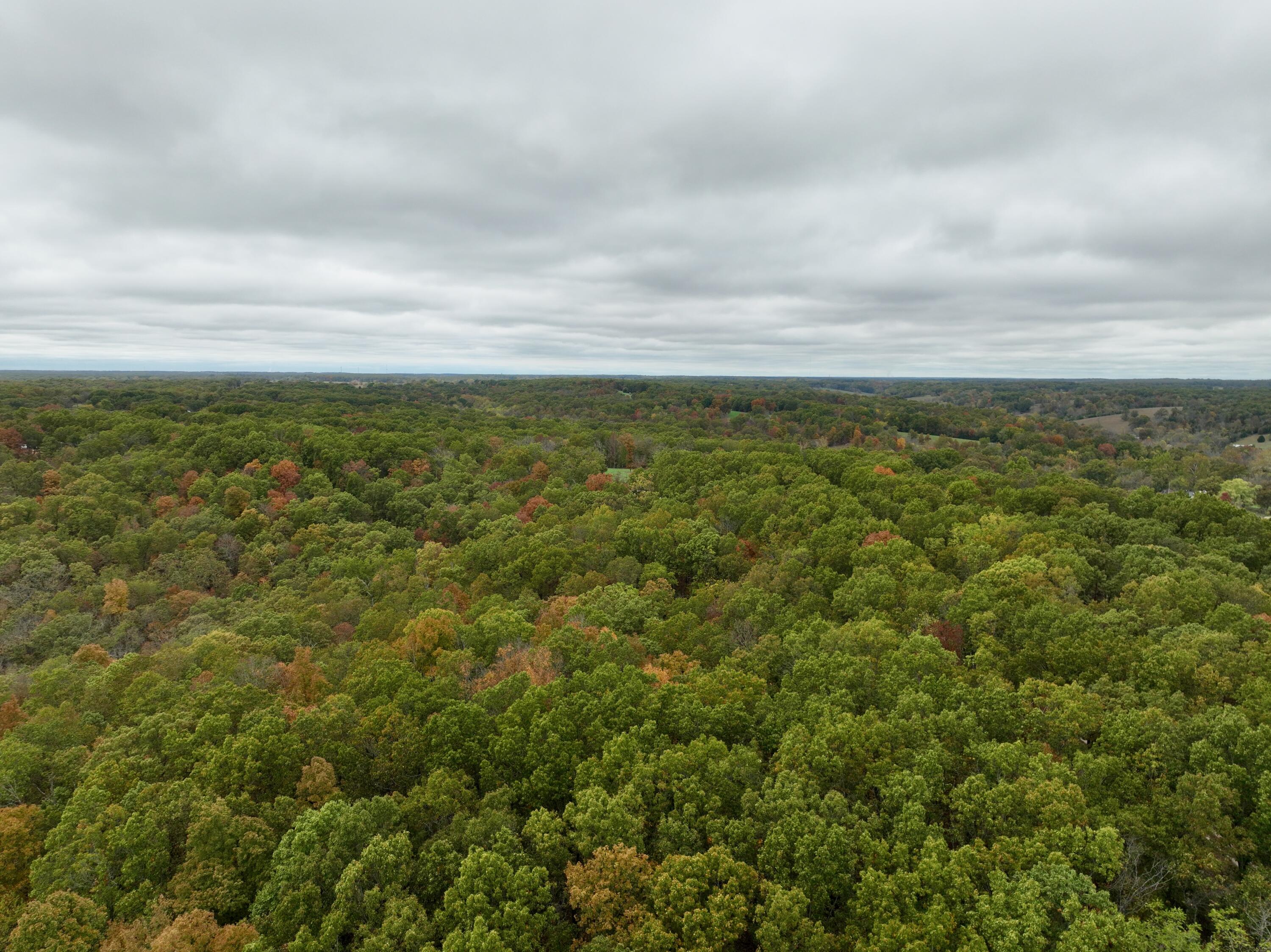 000 Spout Spring Road Property Photo 11