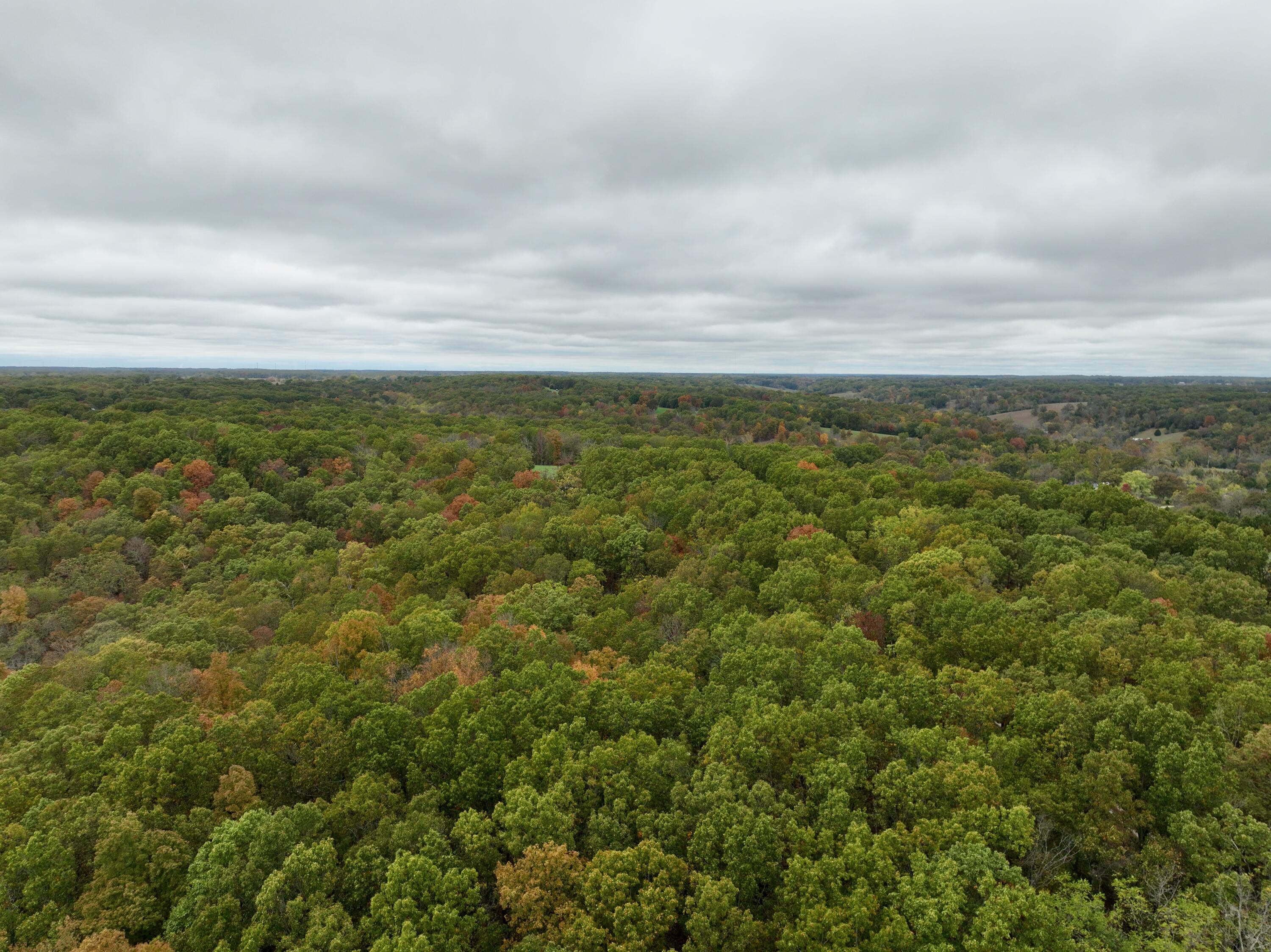 000 Spout Spring Road Property Photo 12