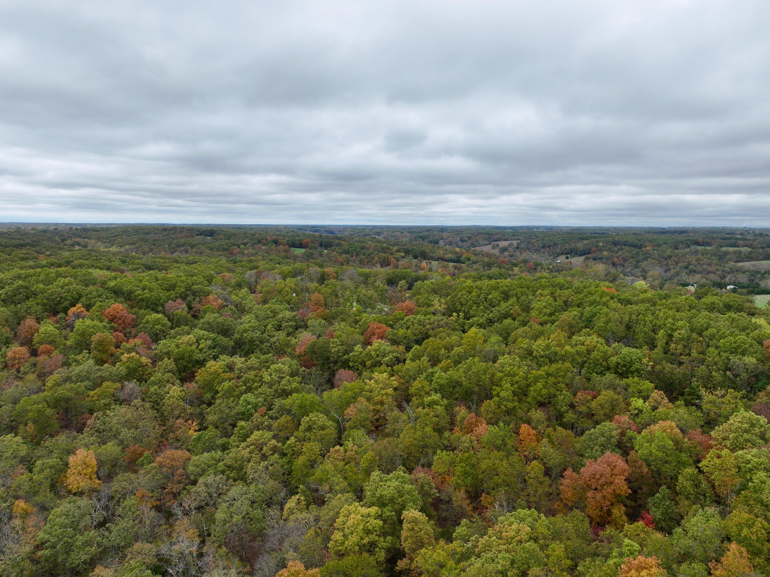 000 Spout Spring Road Property Photo 13