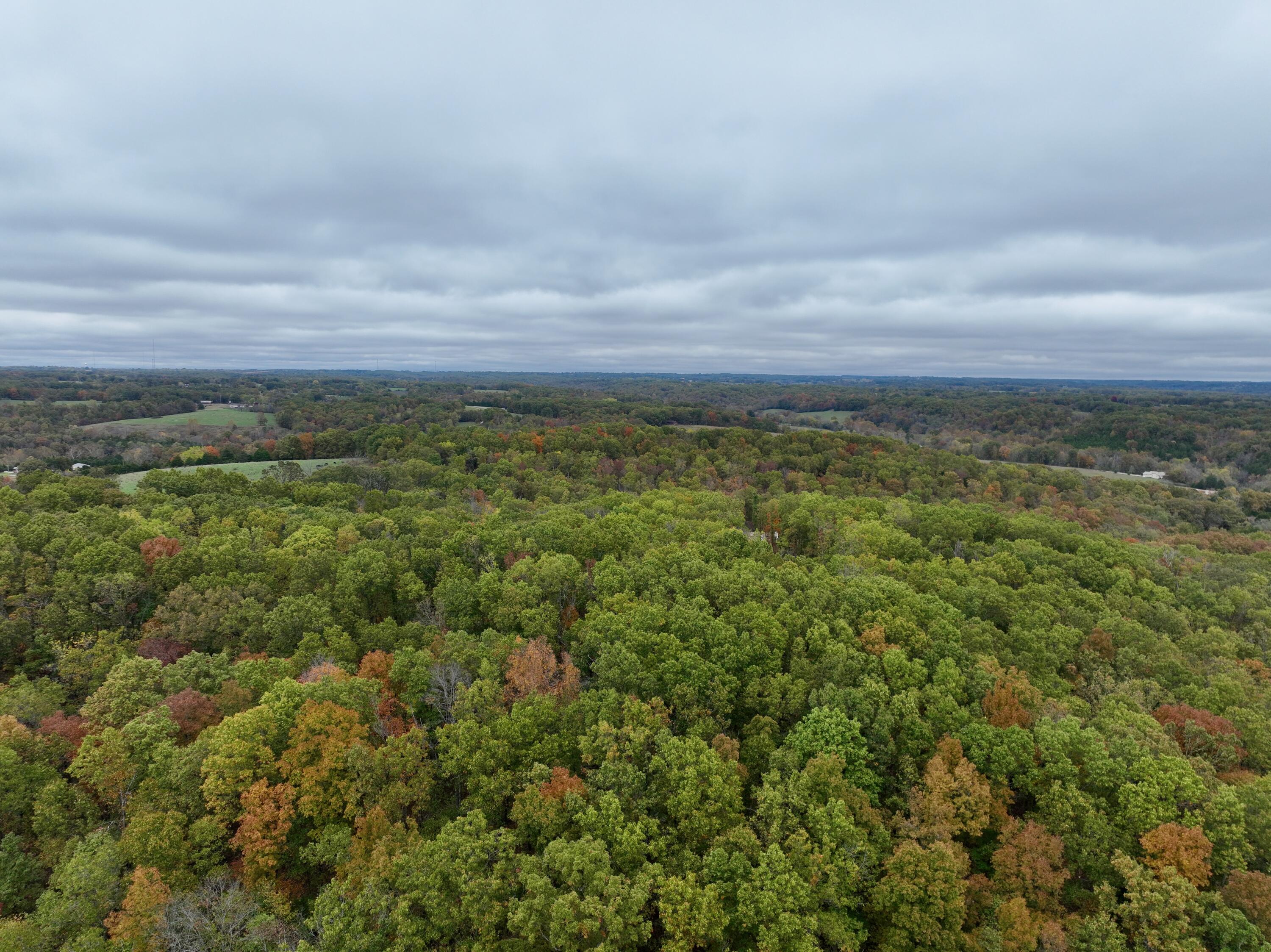 000 Spout Spring Road Property Photo 14