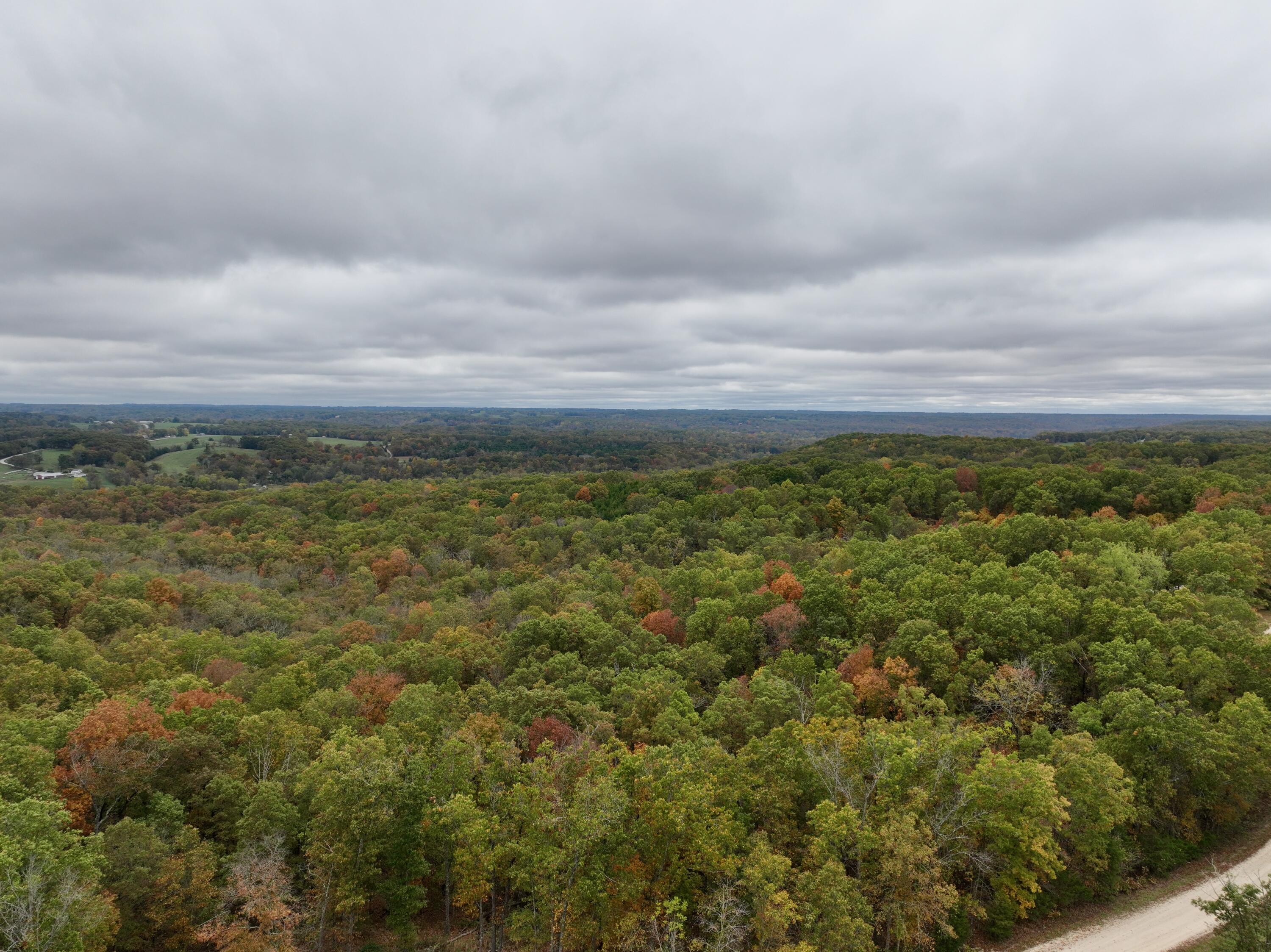 000 Spout Spring Road Property Photo 15