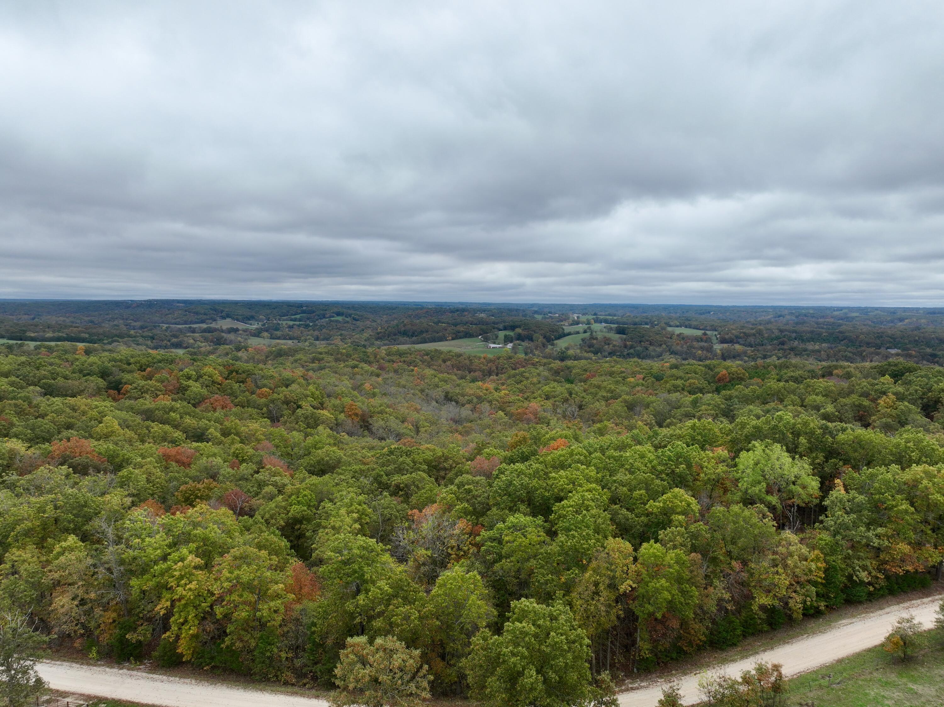 000 Spout Spring Road Property Photo 16